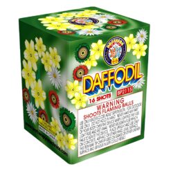 DAFFODIL 16 SHOTS